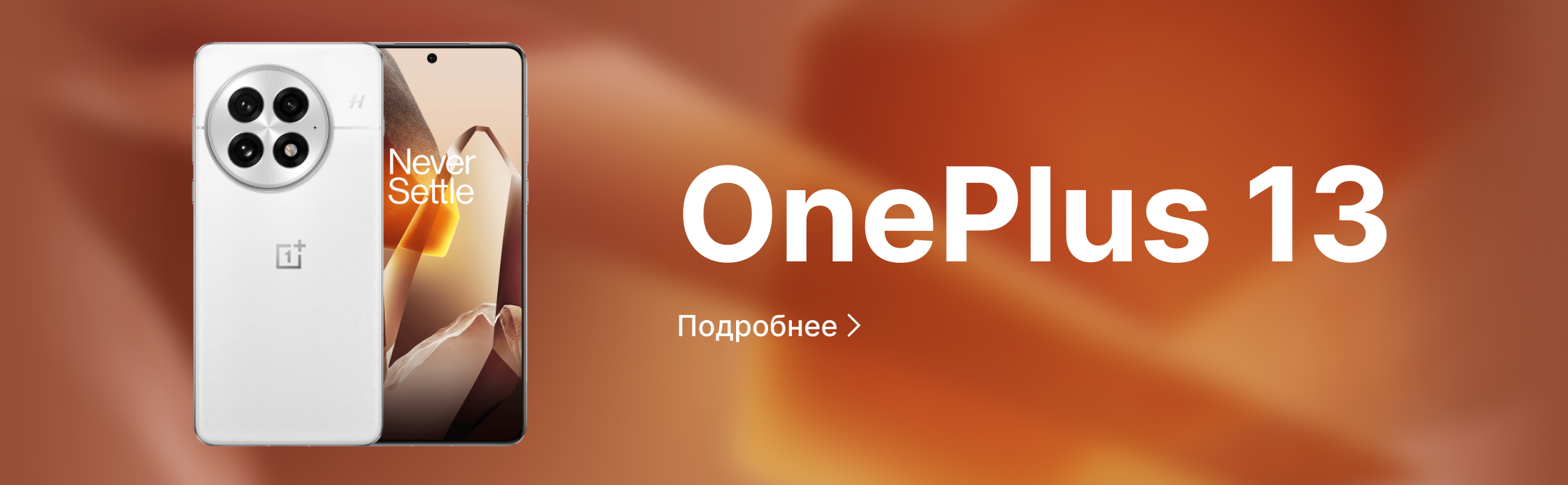 OnePlus 13